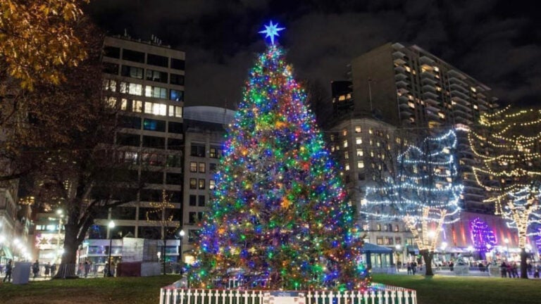 boston christmas tree from nova scotia 2021