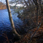 Mother Brook in Dedham