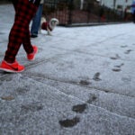 A light dusting of snow in Dorchester.