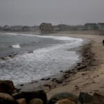 A couple walk a dog on Peggotty Beach in Scituate.