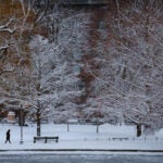 A man walks through the snow covered Public Garden.