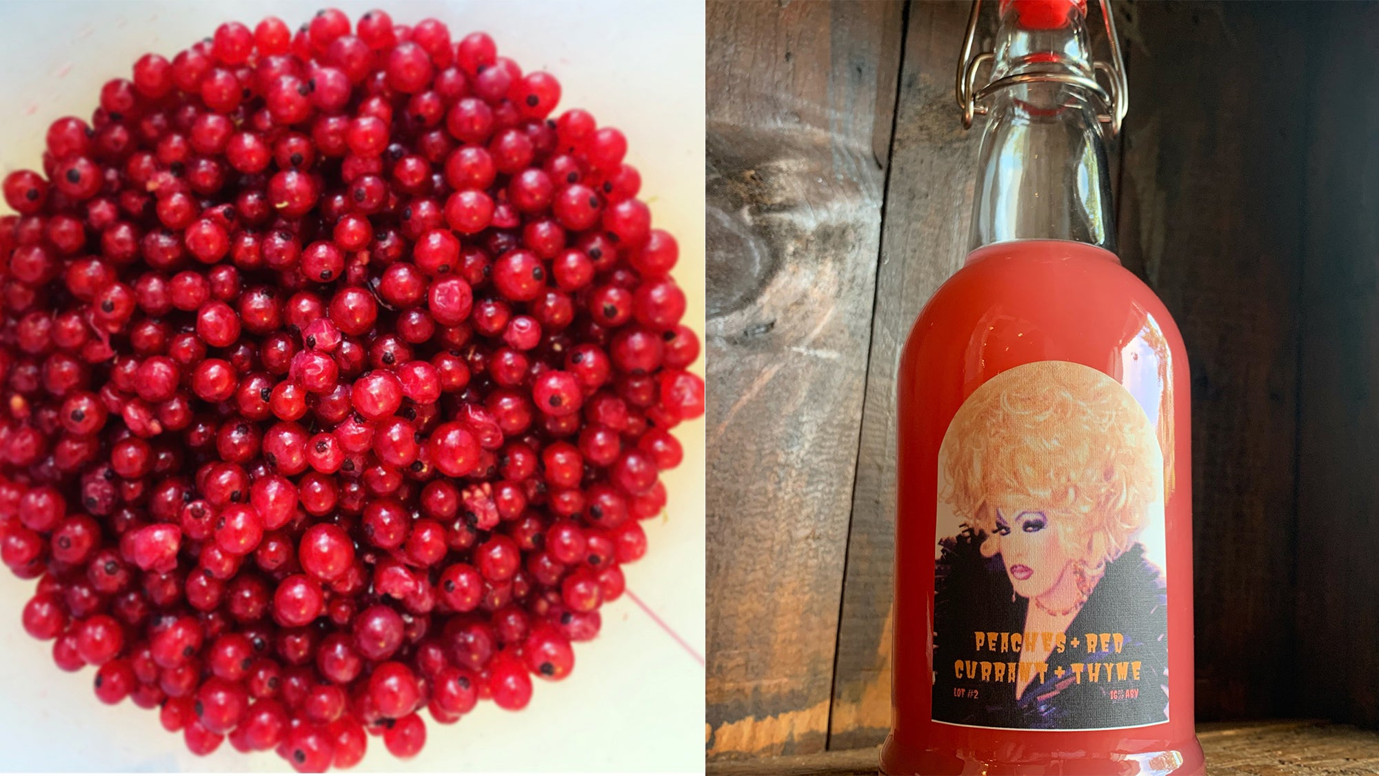 Juice Box Ferments