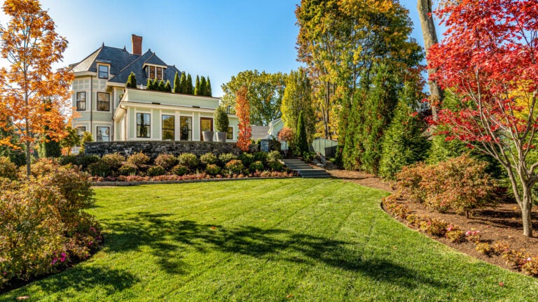 14 Allerton St Brookline grounds