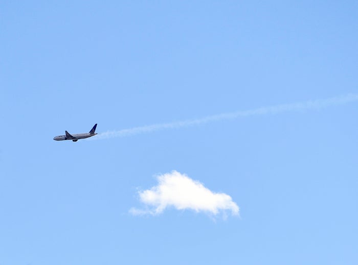 Dropping live turkeys from planes triggers Arkansas festival flap