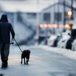 A man takes a dog on an early morning walk in East Boston.