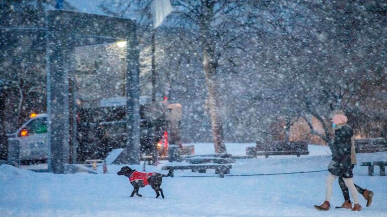 A couple walks a dog in the snow.