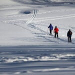 Cross country skiing at Franklin Park in Boston.