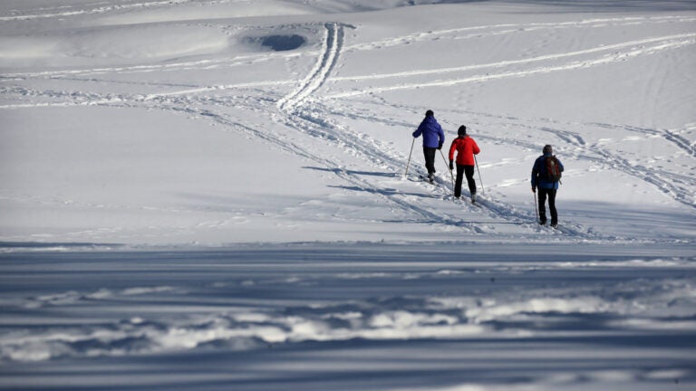 Cross country skiing at Franklin Park in Boston.