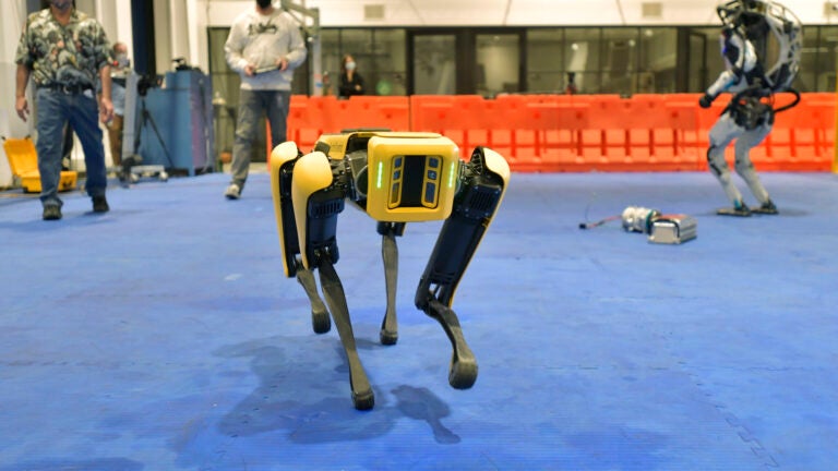 Boston dynamics killer sales robot