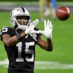 Nelson Agholor Patriots