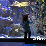 New England Aquarium