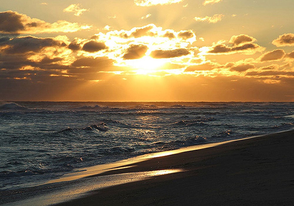 Here's why you should go to these Cape Cod beaches