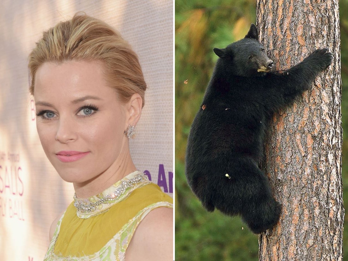 Elizabeth Banks will direct the upcoming movie "Cocaine Bear."