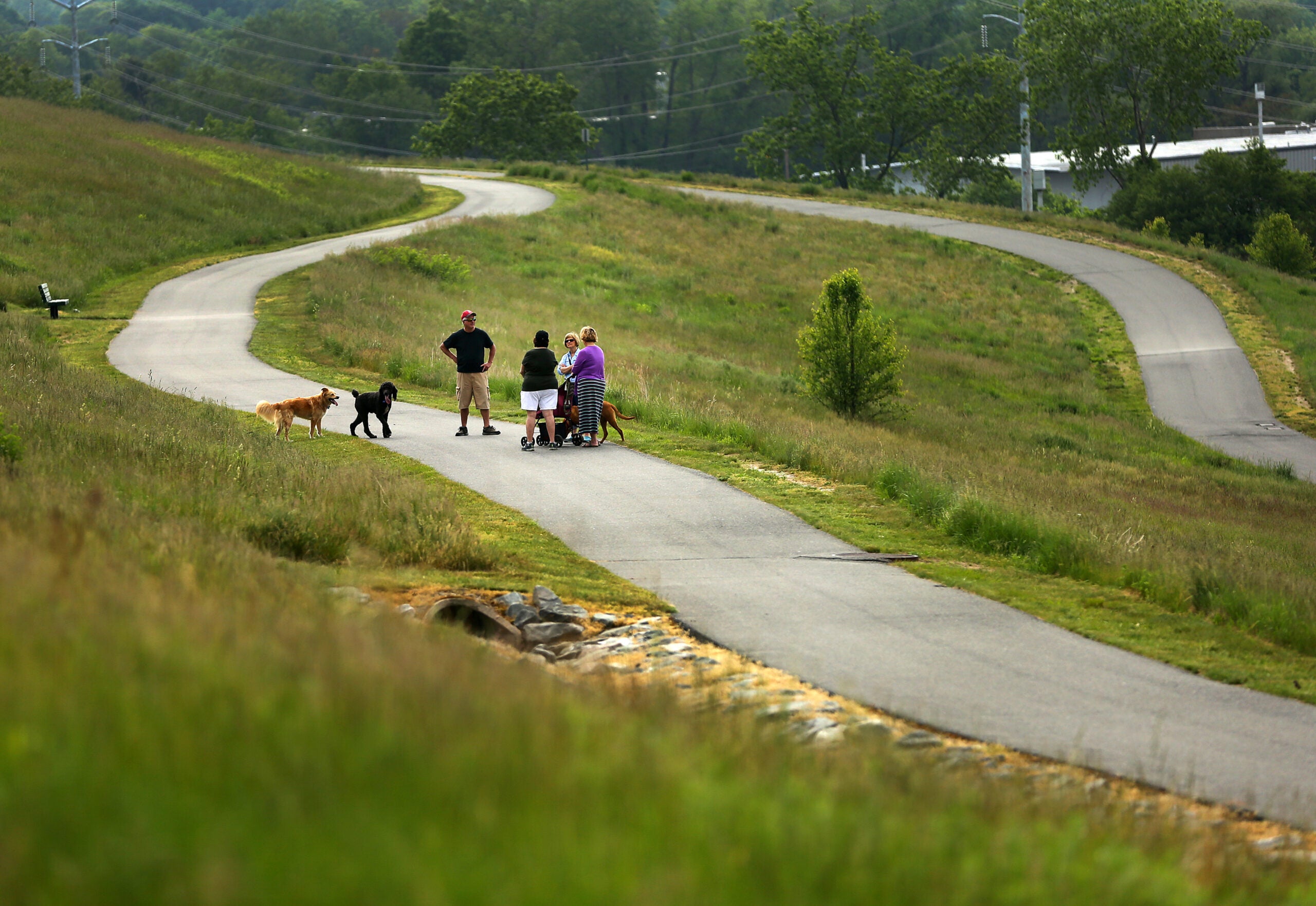 Millennium Park Boston Trail Map Here's Where Boston.com Readers Bring Their Dogs — And Where They'd Like  New Dog Parks