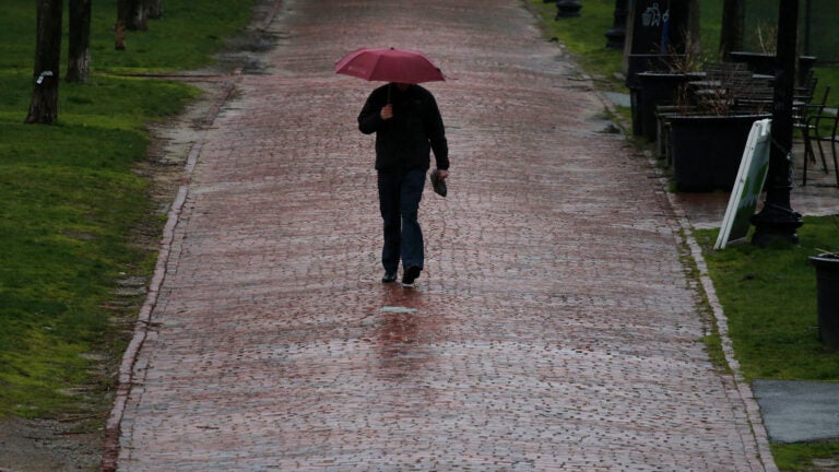 A rainy day on the Public Garden in Boston.