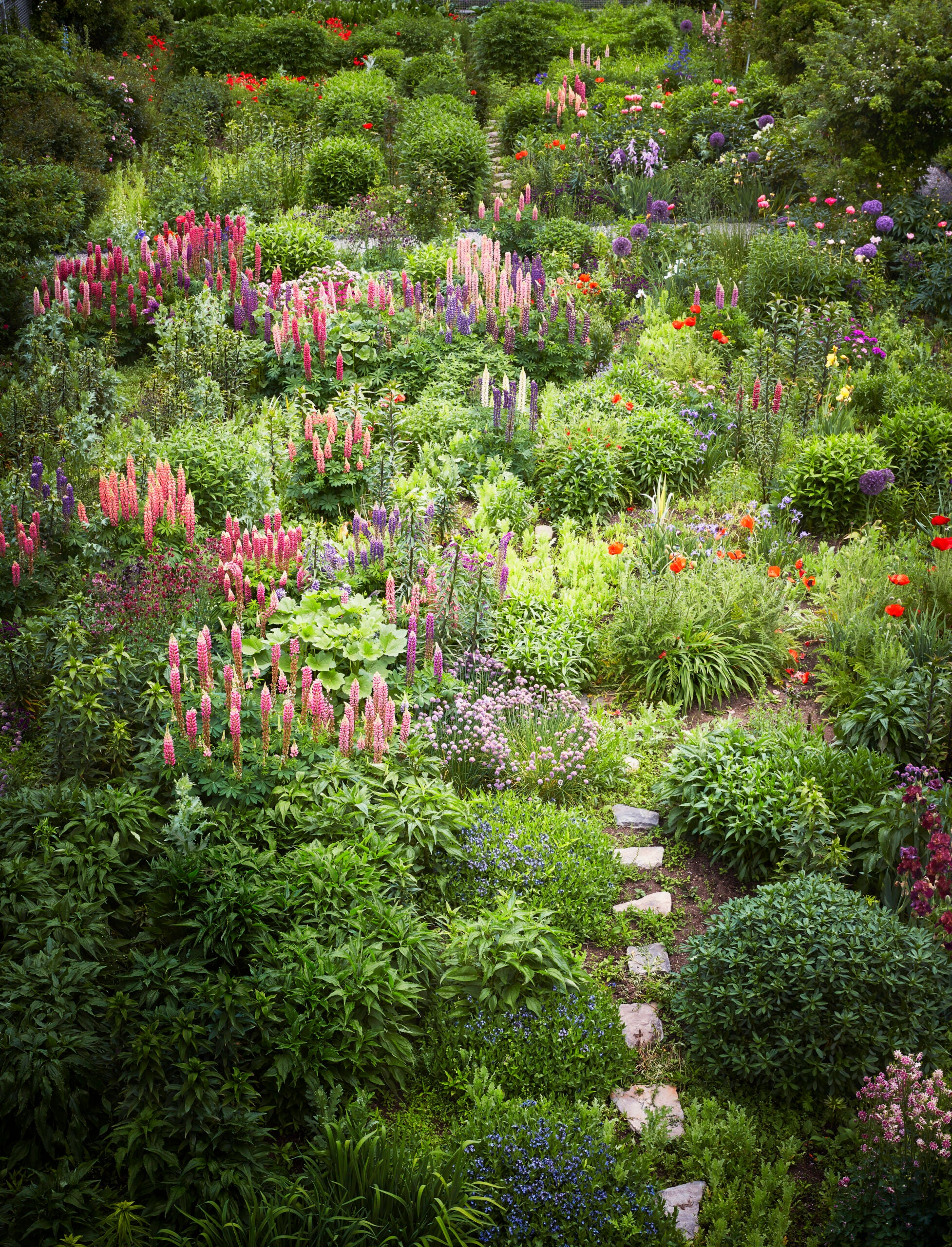 Get inspired with a tour of Martha Stewart's perennial garden