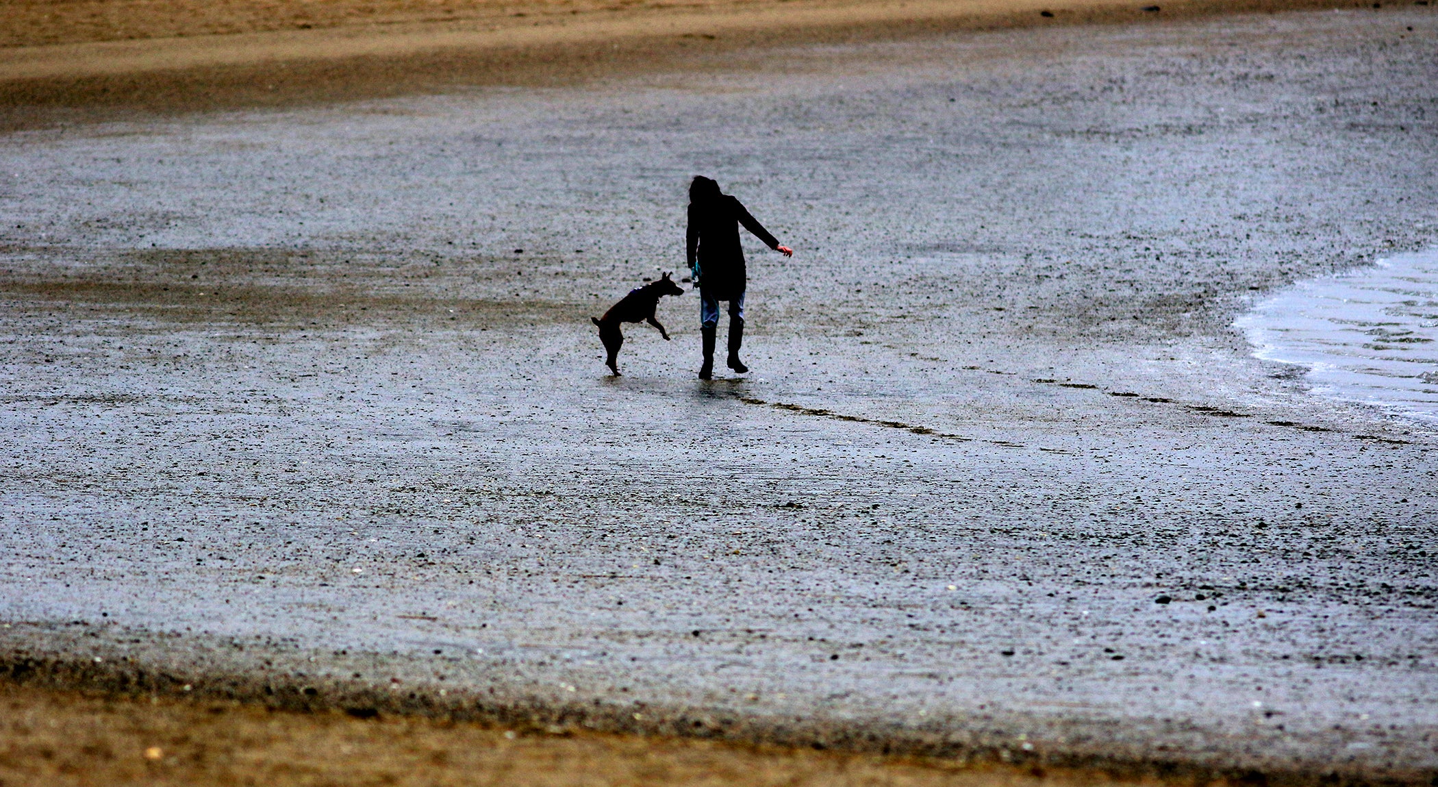 Constitution Beach