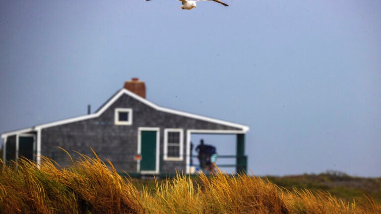 On Cape Cod, why are so many vacation rentals empty?