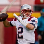 Brian Hoyer Patriots