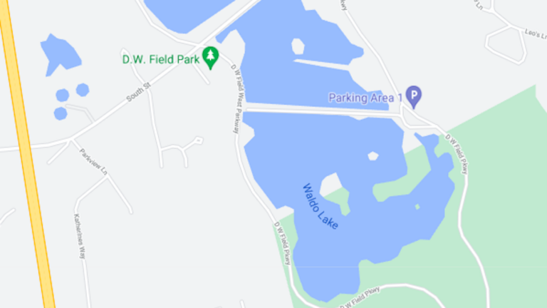 Dw Field Park Map Authorities Identify Two Cousins Who Drowned In Waldo Lake In Brockton