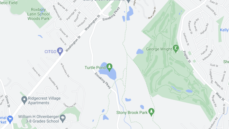 Body of 19-year-old missing swimmer recovered in Hyde Park's Turtle Pond - Vimarsana News
