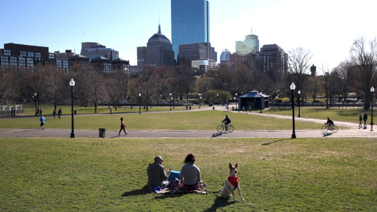 A guide to Boston's parks and green spaces