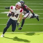 Rex Burkhead Patriots