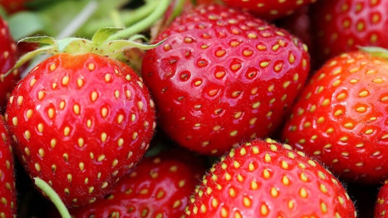 Strawberries in a box.