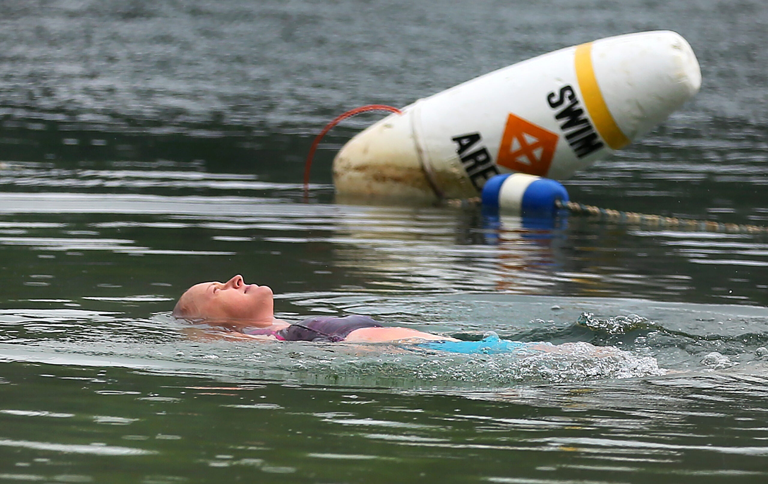 Following backlash, state to lift Walden Pond swimming ban on Friday - Vimarsana News