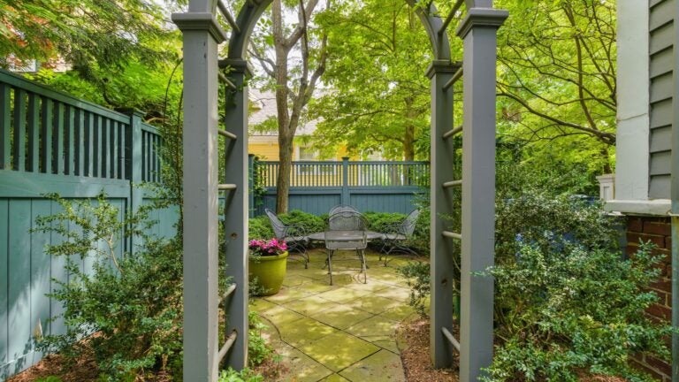 14-Ash-Cambridge-Eliot-Garden