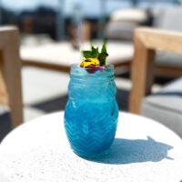 Pale Blue Owl at Blue Owl