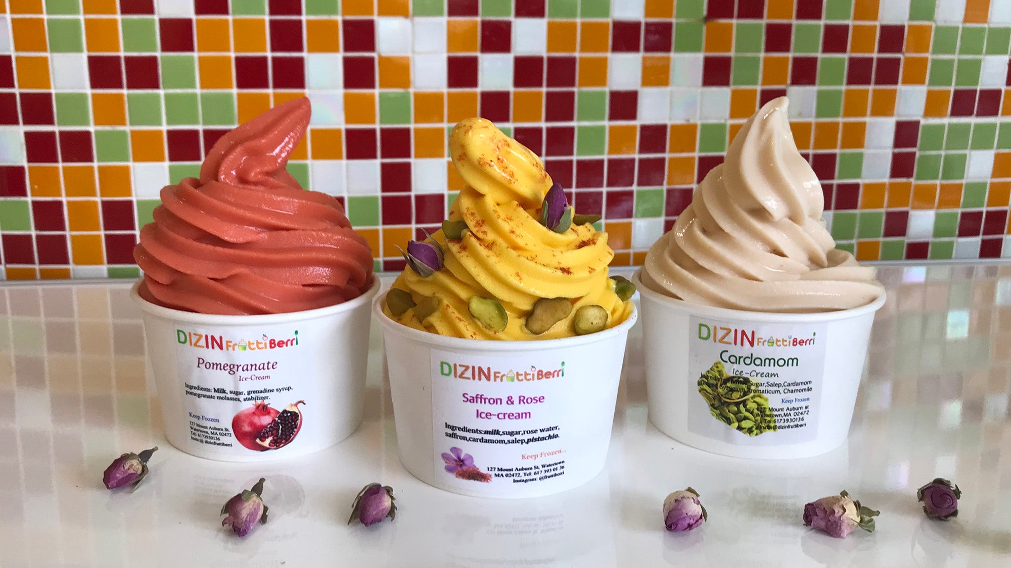 Where to find excellent frozen yogurt in and around Boston