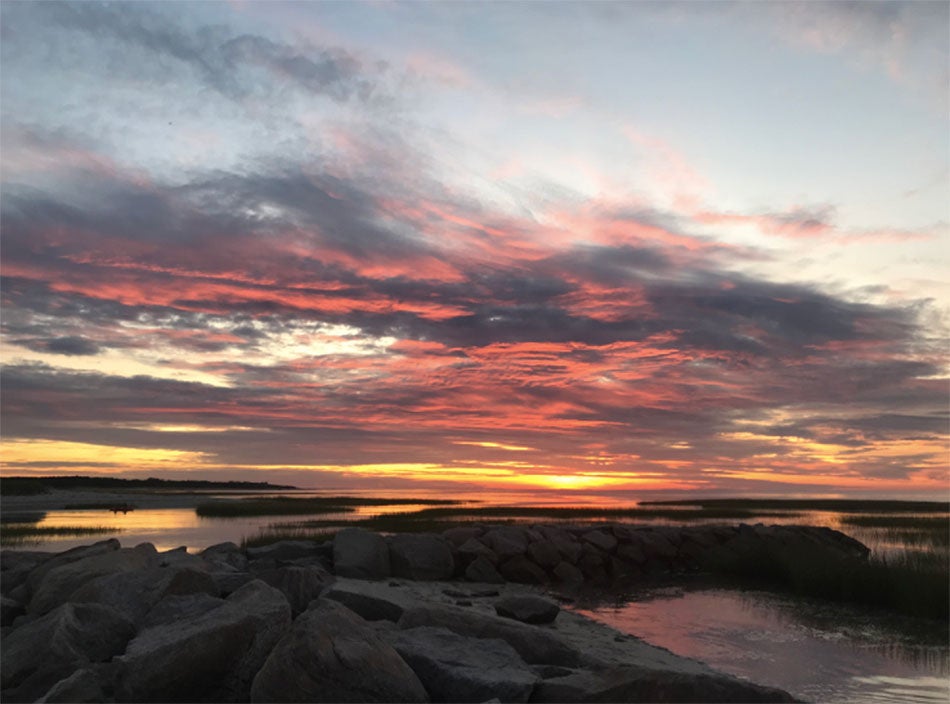 Remembering an incredible trip to Cape Cod with the kids last week