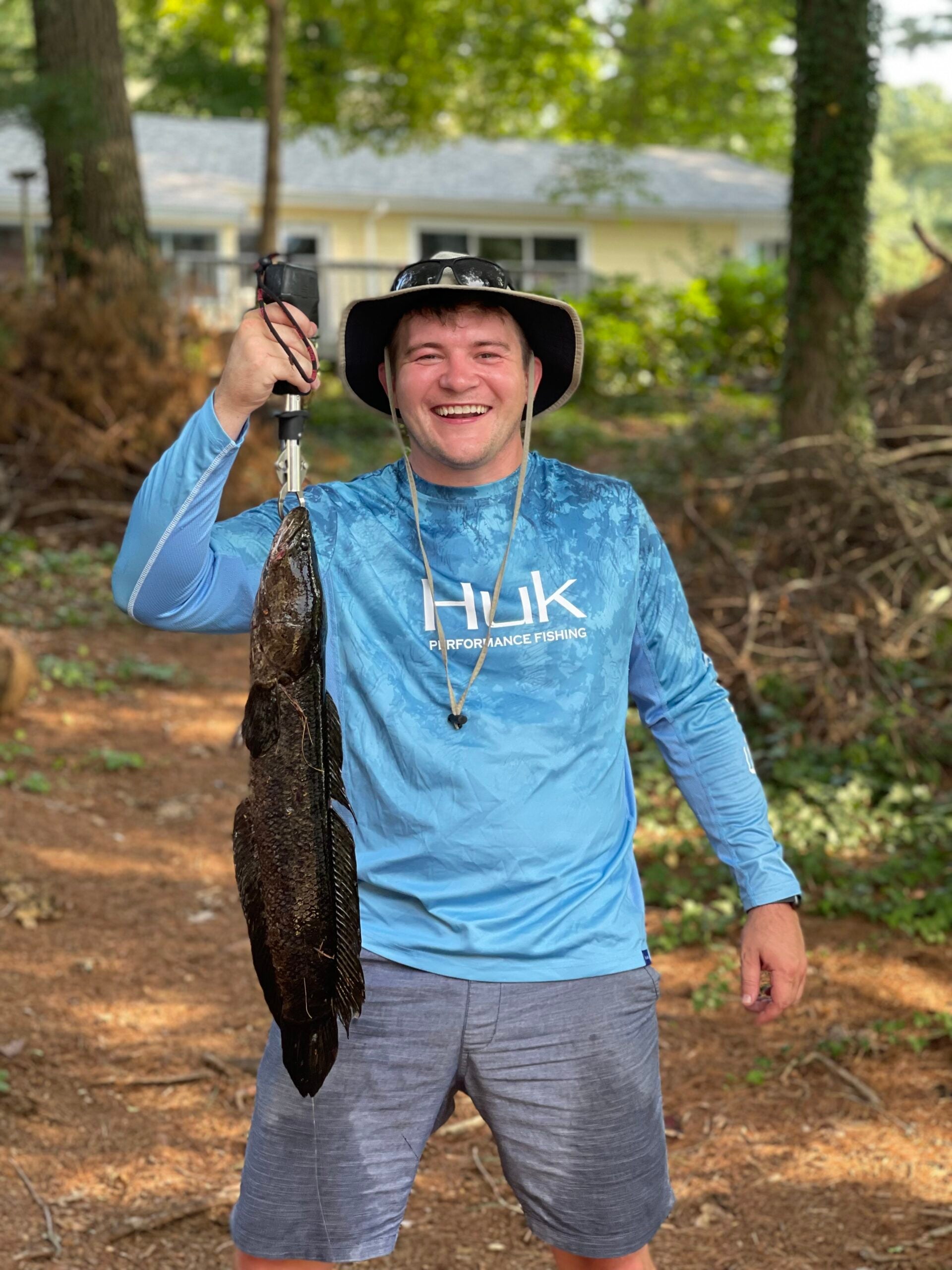 giant snakehead on land