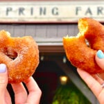 Cider doughnuts at Bolton Spring Farm