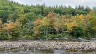 9 Massachusetts hiking trails to tackle this fall 