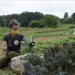 Boston Area Gleaners