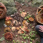 Foraging for mushrooms