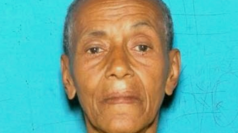 Update: missing 82-year-old woman with dementia found safe, boston police say
