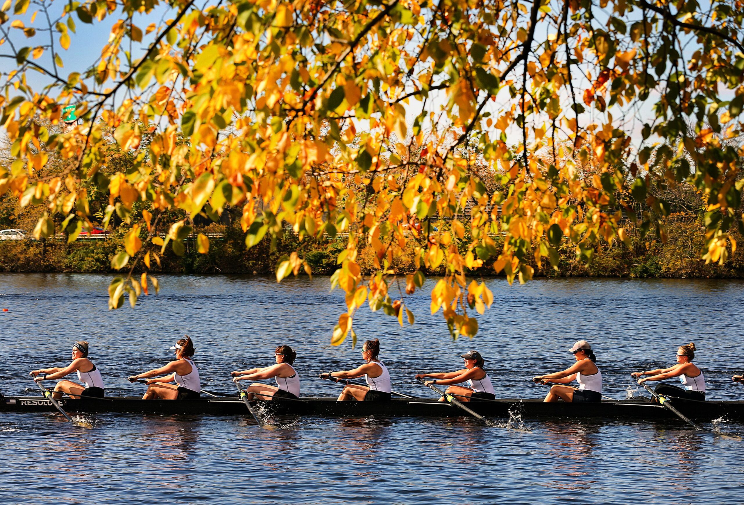 Regatta Central Head Of The Charles 2024 India Janna Loraine