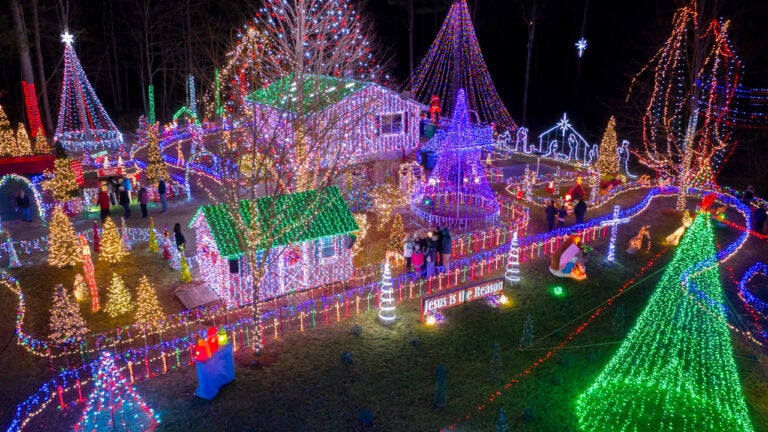 Dan-Amarante-Holiday-Display