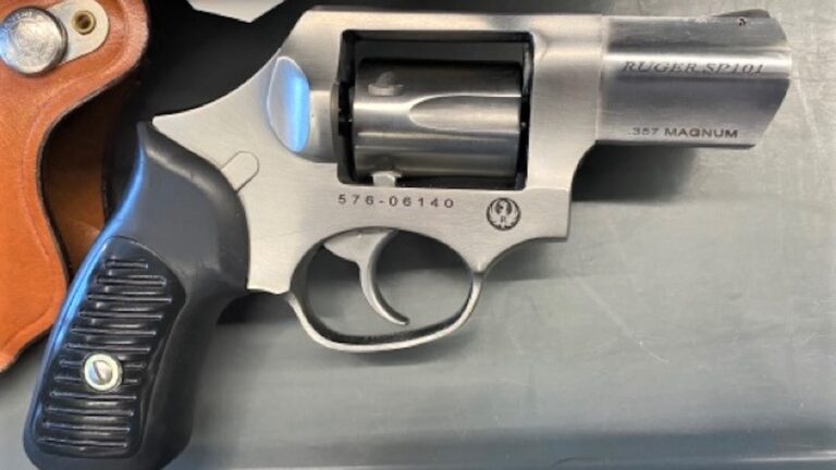 TSA stops woman with gun in carry-on at Logan Airport checkpoint - Vimarsana News