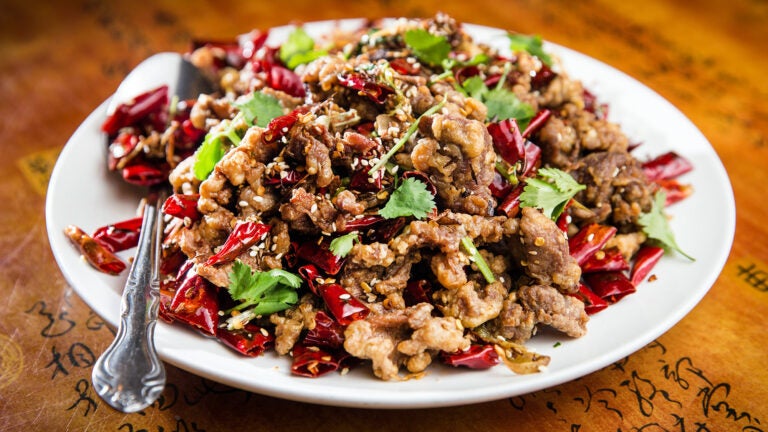 Lamb plate at Gourmet Dumpling House in Boston