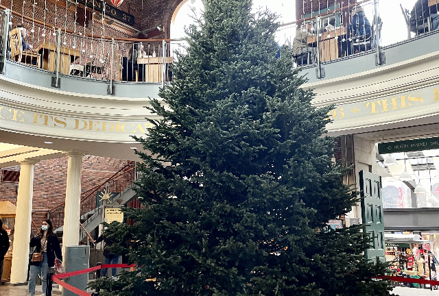 Faneuil hall outlet christmas tree