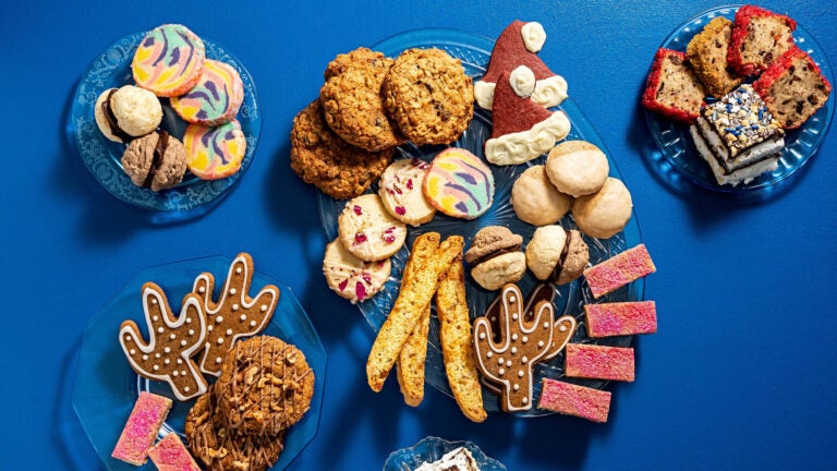 Holiday cookies