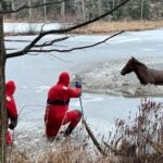 Warwick Fire Department