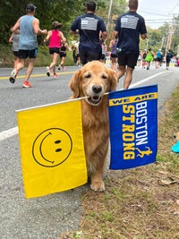 Here are the elevations along the Boston Marathon route