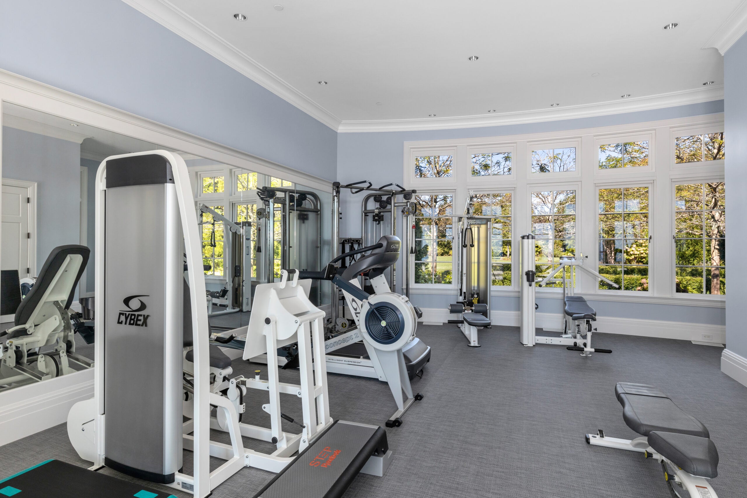 A carpeted gym with recessed lighting. A banks of myriad windows is in the background, offering a view of a wooded expanse. The space is mirrored and full of gym equipment. The walls are a light blue.