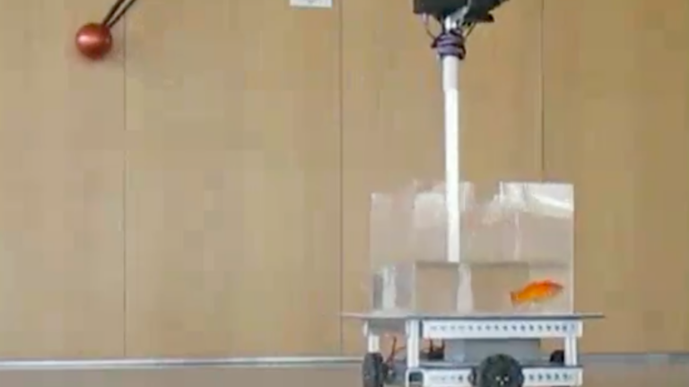 Israeli scientists teach goldfish to operate vehicle - Vimarsana News