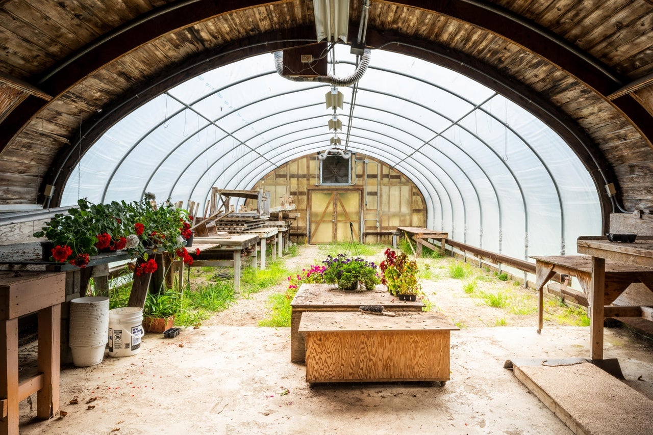 The home's greenhouse has a curved, wood-paneled ceiling in the foreground that leads out to an translucent-roofed area. The foreground is cement on the ground, which leads into a dirt floor with patchy grass. There are wood tables scattered around the space, some with flowers on them.